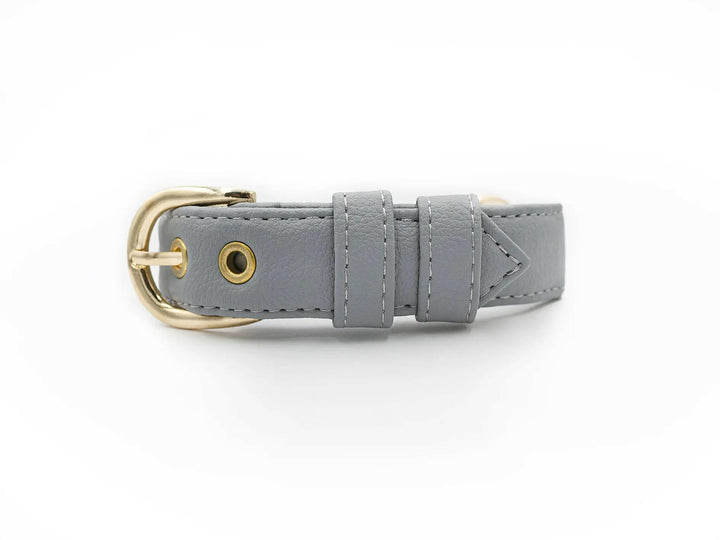 DOG COLLAR, PREMIUM VEGAN LEATHER PINATEX DOG ACCESSORIES, ENGRAVED LOGO, STAINLESS STEEL METAL PARTS, ERGONOMIC DESIGN FOR PETS, WATER RESISTANT DOG COLLAR, DURABLE DOG COLLAR, GREY COLOUR COLLAR, VEGAN LEATHER ALTERNATIVE