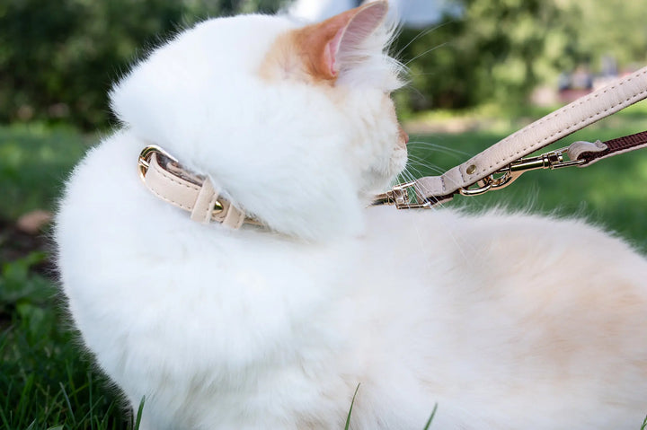 cat leash, made from vegan leather, best leash for cats to explore outdoors