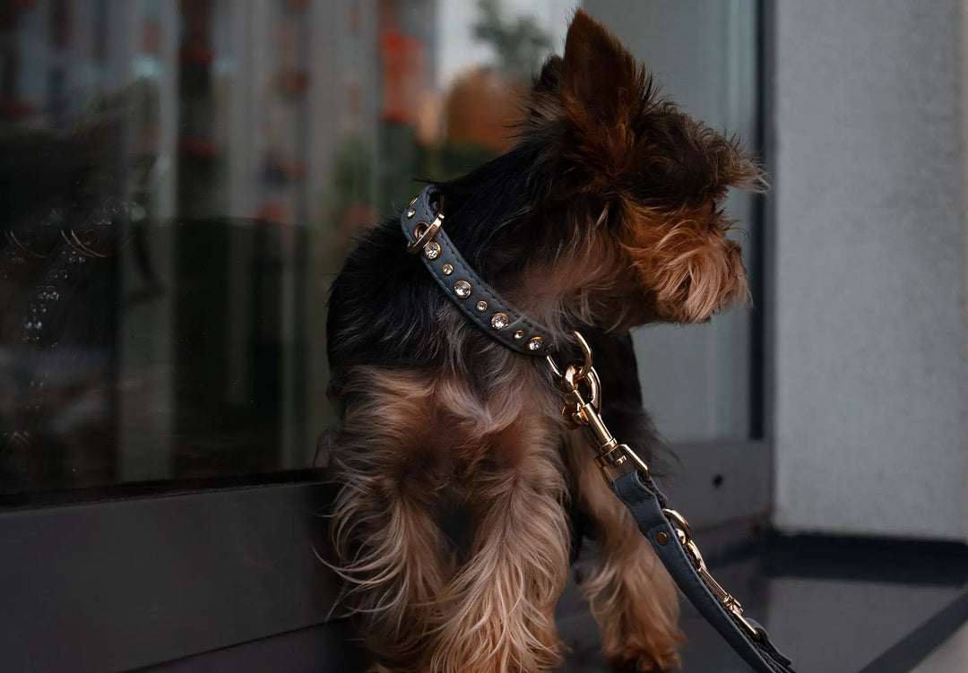 GREY / PINATEX VEGAN LEATHER Dog Leash GREY LEADS VEGARI