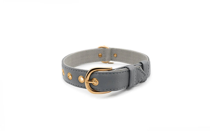 XS / GREY / PINATEX VEGAN LEATHER Vegan Plant Leather Dog Collar -GREY-| Made from Pineapple Leather Piñatex DOG COLLARS VEGARI
