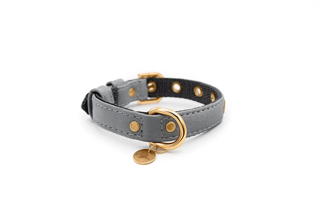 XS / GREY / PINATEX VEGAN LEATHER Vegan Plant Leather Dog Collar -GREY-| Made from Pineapple Leather Piñatex DOG COLLARS VEGARI
