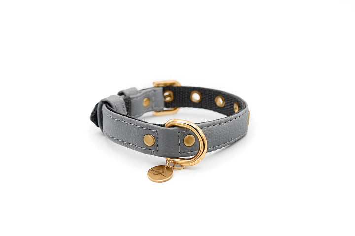 XS / GREY / PINATEX VEGAN LEATHER Vegan Plant Leather Dog Collar -GREY-| Made from Pineapple Leather Piñatex DOG COLLARS VEGARI