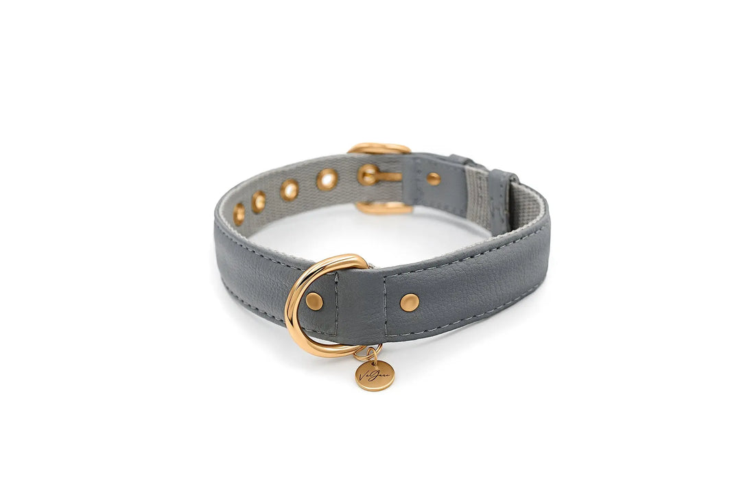 S / GREY / PINATEX VEGAN LEATHER Vegan Plant Leather Dog Collar -GREY-| Made from Pineapple Leather Piñatex DOG COLLARS VEGARI
