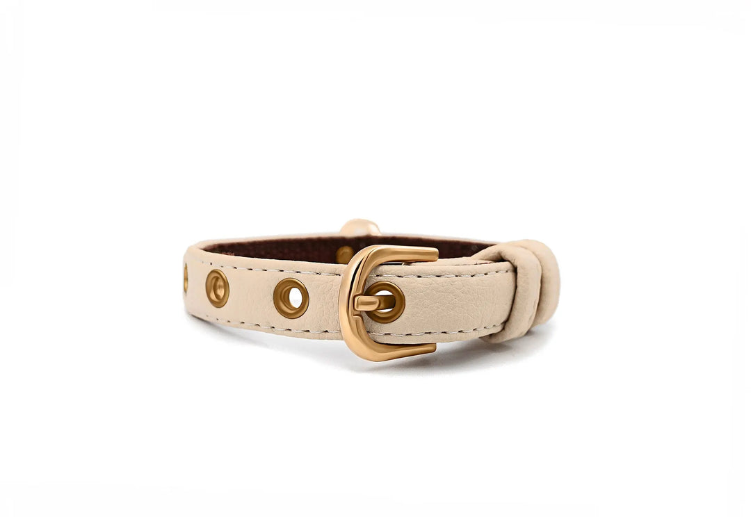 XS / BEIGE / PINATEX VEGAN LEATHER Vegan Plant Leather Dog Collar -BEIGE-| Made from Pineapple Leather Piñatex DOG COLLARS VEGARI