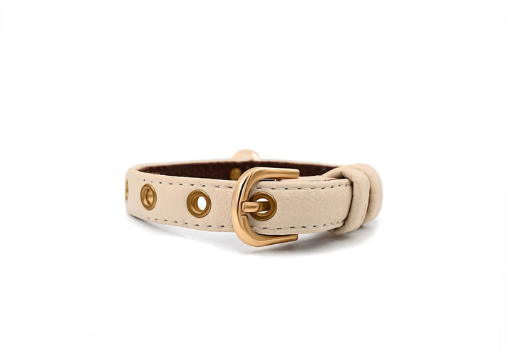 XS / BEIGE / PINATEX VEGAN LEATHER Vegan Plant Leather Dog Collar -BEIGE-| Made from Pineapple Leather Piñatex DOG COLLARS VEGARI