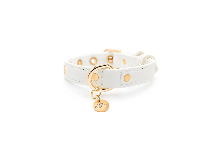 XS / WHITE / PINATEX VEGAN LEATHER Vegan Plant Leather Dog Collar -WHITE-| Made from Pineapple Leather Piñatex DOG COLLARS VEGARI