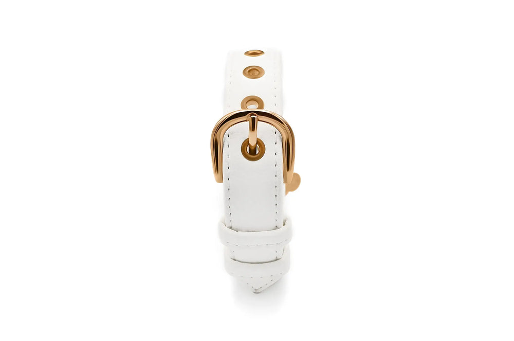 XS / WHITE / PINATEX VEGAN LEATHER Vegan Plant Leather Dog Collar -WHITE-| Made from Pineapple Leather Piñatex DOG COLLARS VEGARI