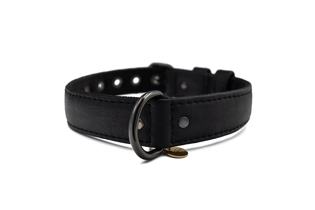S / BLACK / PINATEX VEGAN LEATHER Vegan Plant Leather Dog Collar -BLACK-| Made from Pineapple Leather Piñatex DOG COLLARS VEGARI