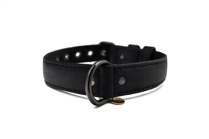 S / BLACK / PINATEX VEGAN LEATHER Vegan Plant Leather Dog Collar -BLACK-| Made from Pineapple Leather Piñatex DOG COLLARS VEGARI