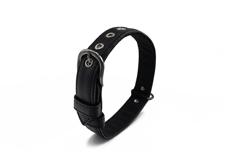 XS / BLACK / PINATEX VEGAN LEATHER Vegan Plant Leather Dog Collar -BLACK-| Made from Pineapple Leather Piñatex DOG COLLARS VEGARI