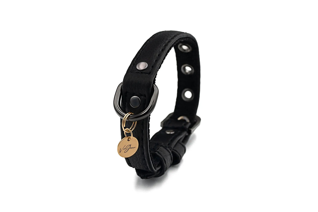 XS / BLACK / PINATEX VEGAN LEATHER Vegan Plant Leather Dog Collar -BLACK-| Made from Pineapple Leather Piñatex DOG COLLARS VEGARI