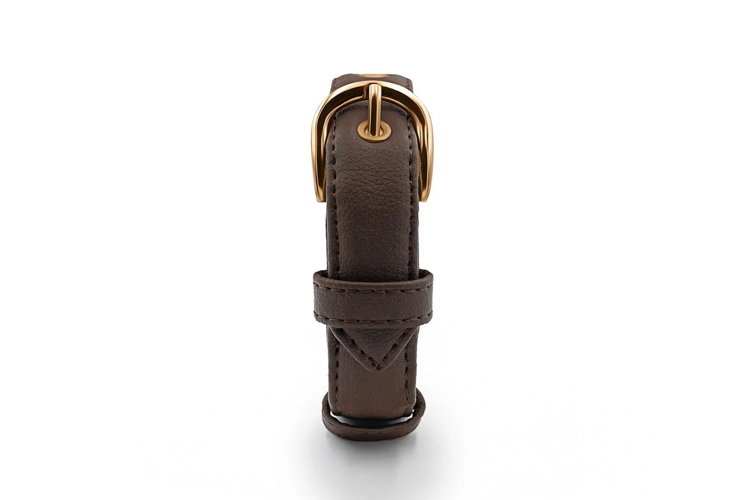 XS / BROWN / PINATEX VEGAN LEATHER Vegan Plant Leather Dog Collar -BROWN-| Made from Pineapple Leather Piñatex DOG COLLARS VEGARI