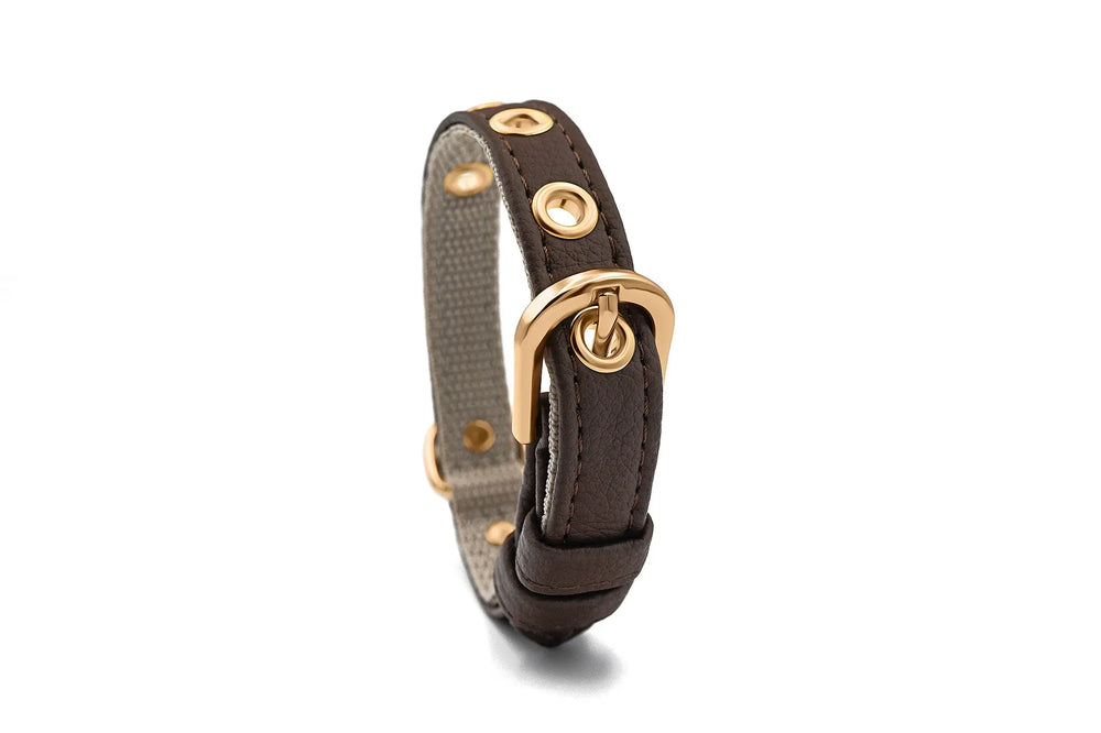 XS / BROWN / PINATEX VEGAN LEATHER Vegan Plant Leather Dog Collar -BROWN-| Made from Pineapple Leather Piñatex DOG COLLARS VEGARI