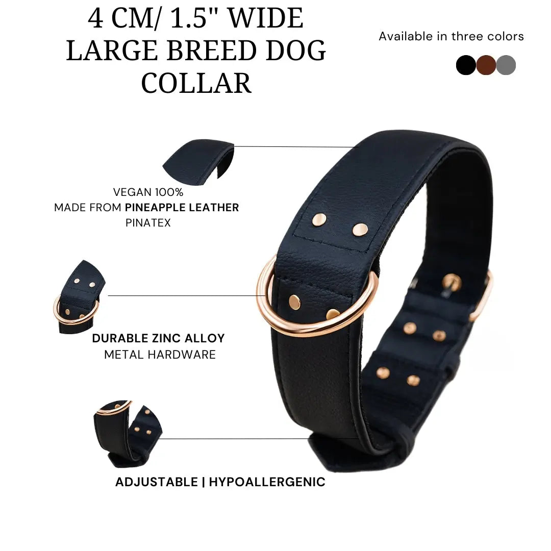 XL / BLACK / PINATEX VEGAN LEATHER Large Breed Dog Collar - BLACK PARADISE| Piñatex LARGE DOG COLLARS VEGARI