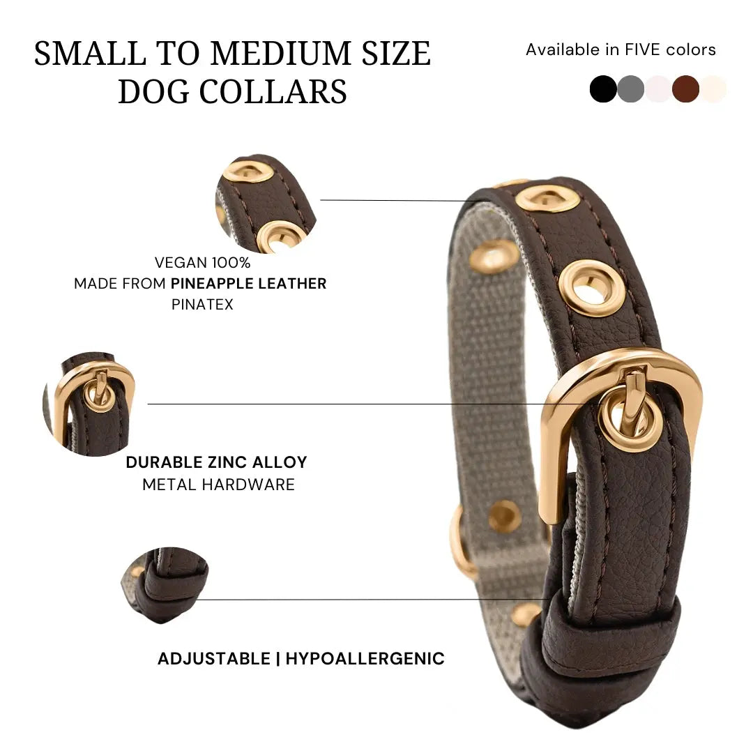 XS / BROWN / PINATEX VEGAN LEATHER Vegan Plant Leather Dog Collar -BROWN-| Made from Pineapple Leather Piñatex DOG COLLARS VEGARI