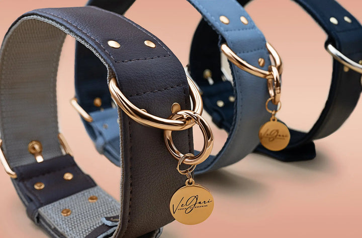 XL / BLACK / PINATEX VEGAN LEATHER Large Breed Dog Collar - BLACK PARADISE| Piñatex LARGE DOG COLLARS VEGARI