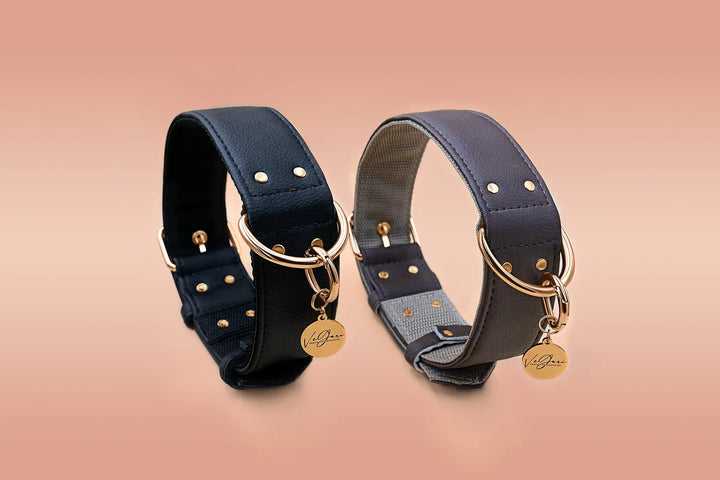 XL / BLACK / PINATEX VEGAN LEATHER Large Breed Dog Collar - BLACK PARADISE| Piñatex LARGE DOG COLLARS VEGARI