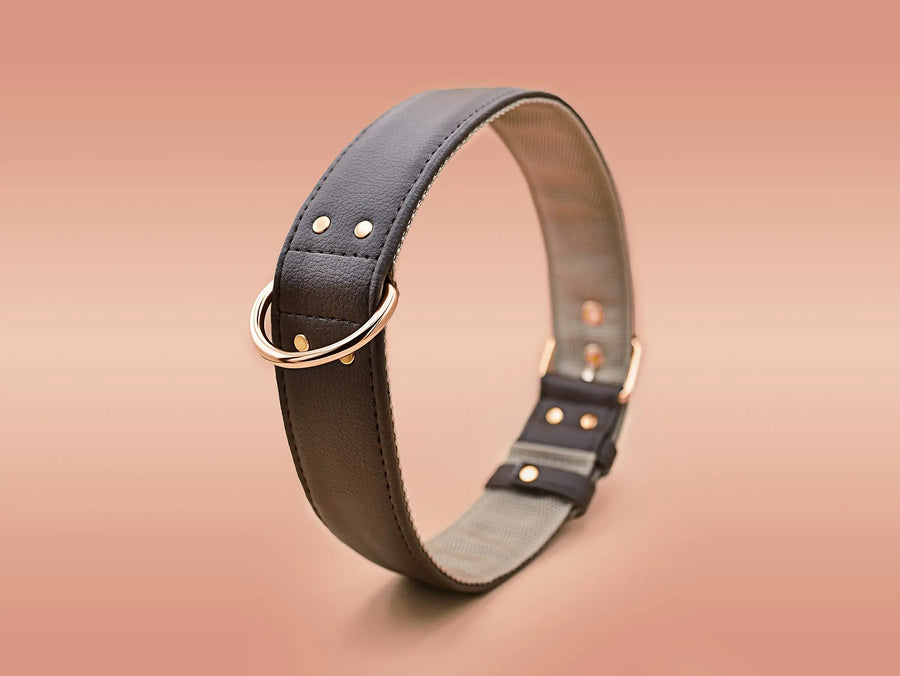 XL / BROWN / PINATEX VEGAN LEATHER Large Breed Dog Collar - BROWN LOVE| Piñatex LARGE DOG COLLARS VEGARI