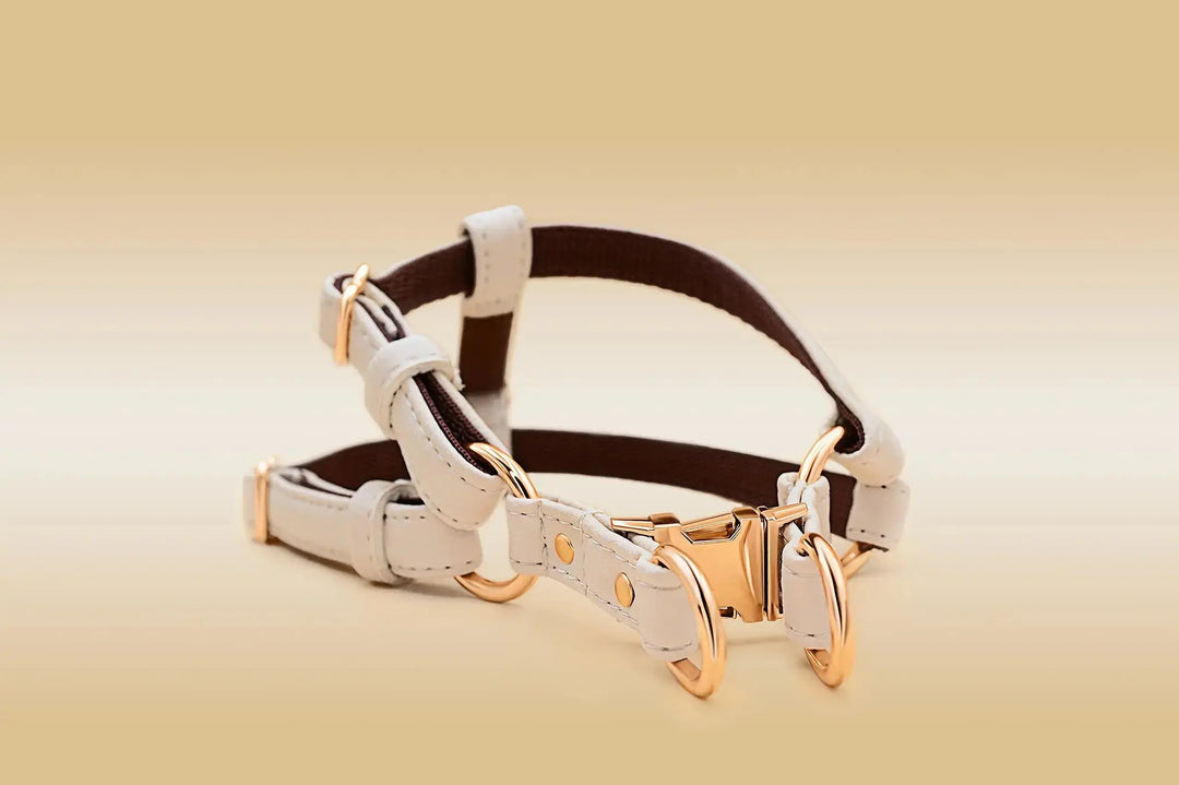 XS + LEASH / BEIGE / PINATEX VEGAN LEATHER SPECIAL DEAL: Dog Harness & Leash SET| BEIGE ROYAL HARNESS VEGARI
