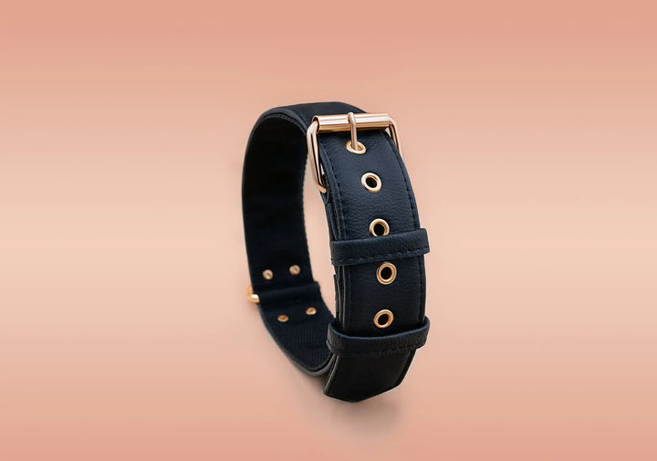 XL / BLACK / PINATEX VEGAN LEATHER Large Breed Dog Collar - BLACK PARADISE| Piñatex LARGE DOG COLLARS VEGARI