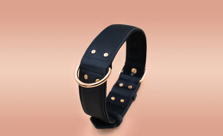 XL / BLACK / PINATEX VEGAN LEATHER Large Breed Dog Collar - BLACK PARADISE| Piñatex LARGE DOG COLLARS VEGARI
