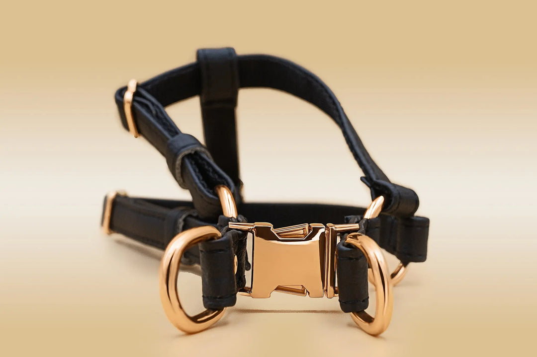 XS / BLACK / PINATEX VEGAN LEATHER Anatomical Correct Dog Harness - BLACK PARADISE HARNESS VEGARI