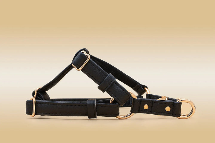 XS / BLACK / PINATEX VEGAN LEATHER Anatomical Correct Dog Harness - BLACK PARADISE HARNESS VEGARI