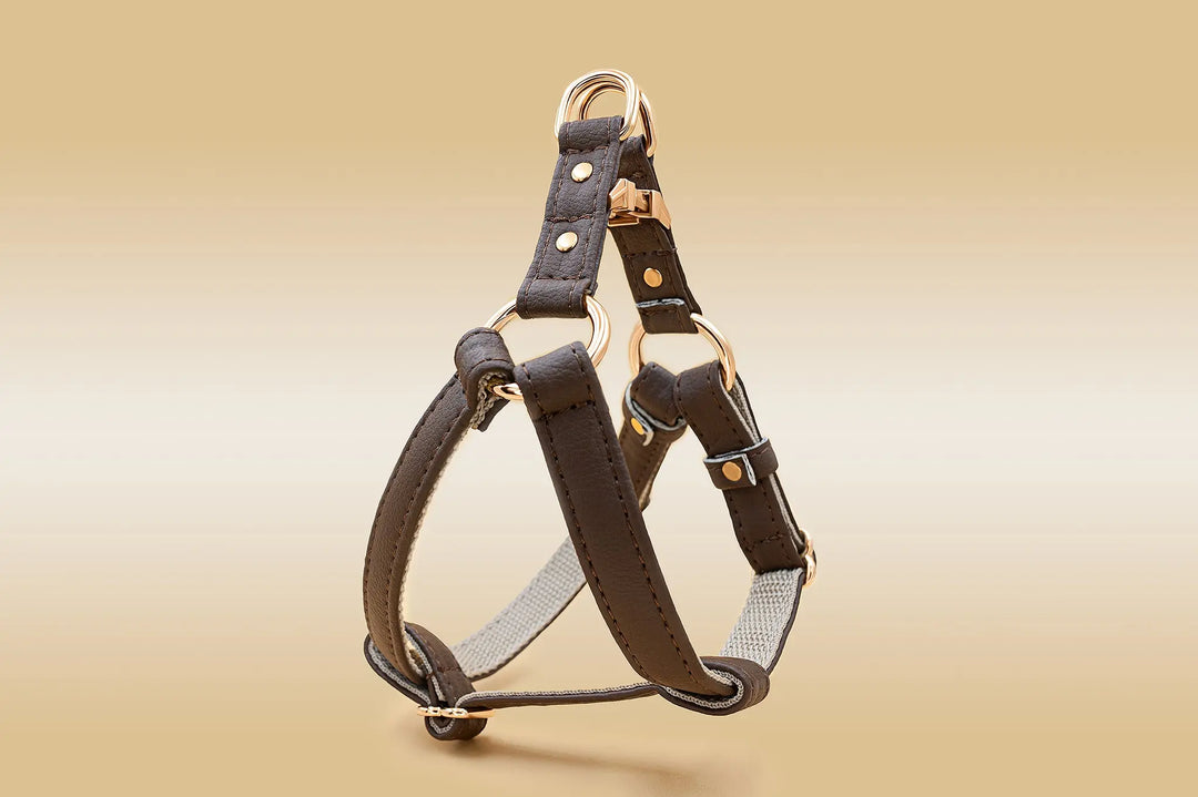 ERGONOMIC DOG HARNESS, MADE FOR SMALL TO LARGE BREED DOGS