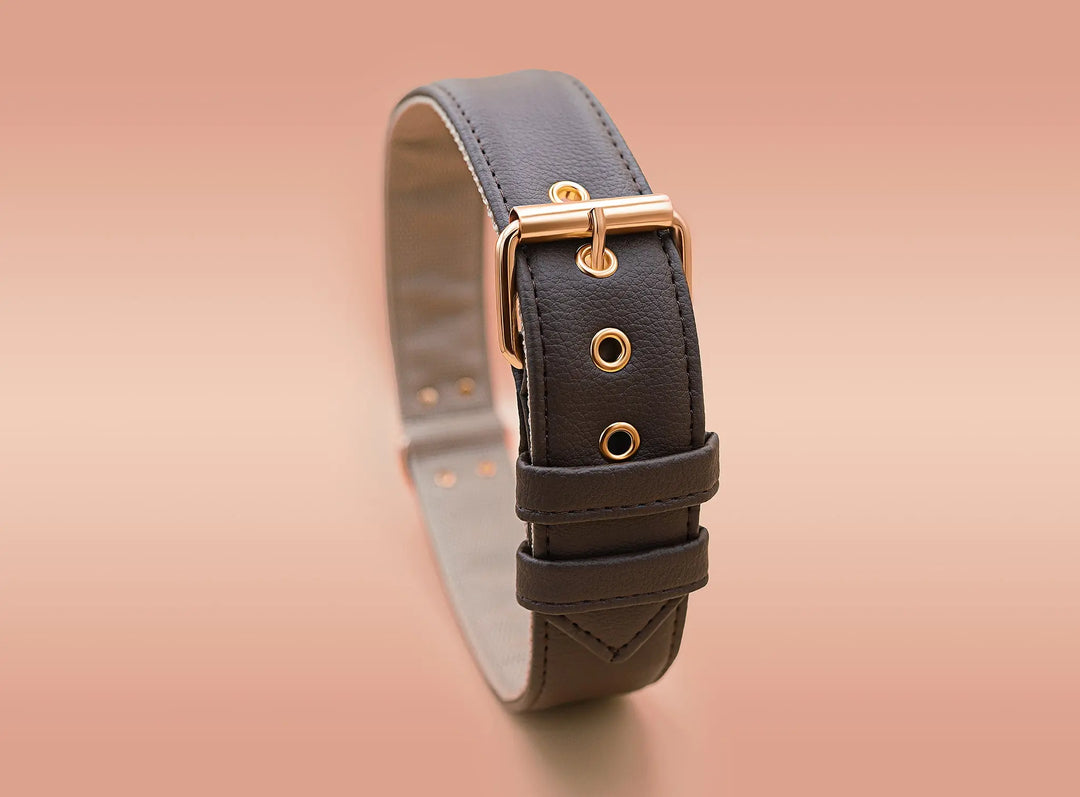 XL / BROWN / PINATEX VEGAN LEATHER Large Breed Dog Collar - BROWN LOVE| Piñatex LARGE DOG COLLARS VEGARI