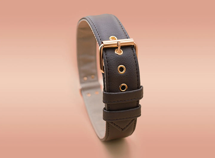 XL / BROWN / PINATEX VEGAN LEATHER Large Breed Dog Collar - BROWN LOVE| Piñatex LARGE DOG COLLARS VEGARI