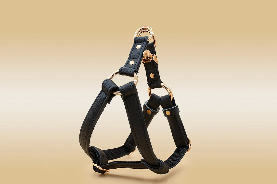 XS / BLACK / PINATEX VEGAN LEATHER Anatomical Correct Dog Harness - BLACK PARADISE HARNESS VEGARI