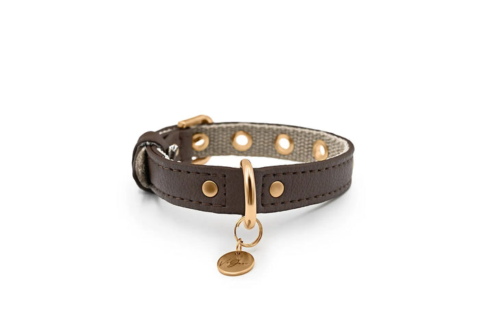 XS / BROWN / PINATEX VEGAN LEATHER Vegan Plant Leather Dog Collar -BROWN-| Made from Pineapple Leather Piñatex DOG COLLARS VEGARI
