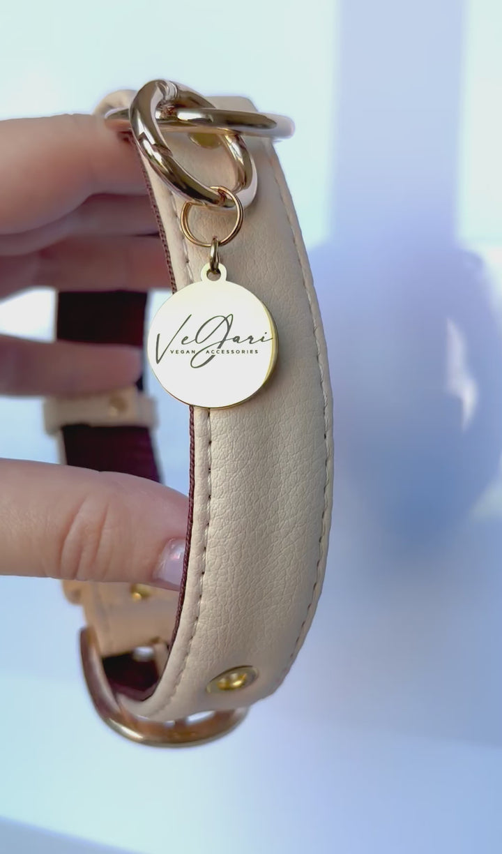 vegan dog collar made from pineapple leather pinatex in beige color with gold zinc alloy hardware