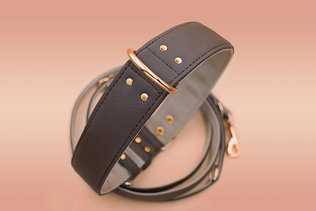XL / BROWN / PINATEX VEGAN LEATHER Large Breed Dog Collar - BROWN LOVE| Piñatex LARGE DOG COLLARS VEGARI