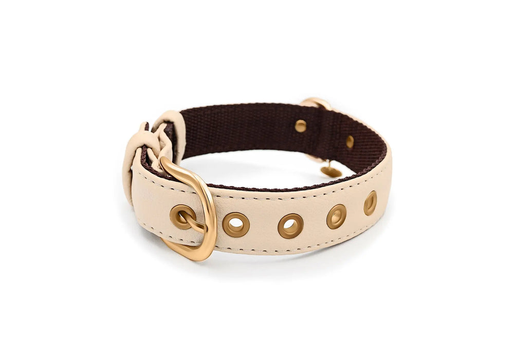 XS / BEIGE / PINATEX VEGAN LEATHER Vegan Plant Leather Dog Collar -BEIGE-| Made from Pineapple Leather Piñatex DOG COLLARS VEGARI