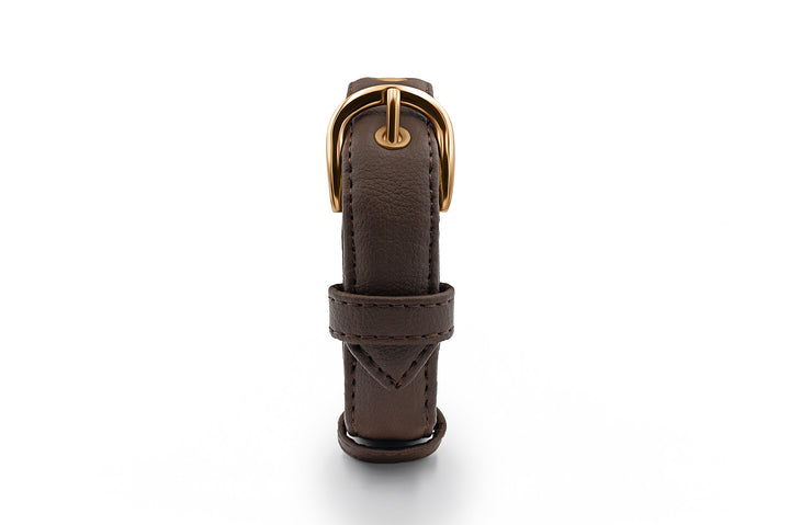 vegan leather pinatex dog collar, handmade premium dog accessory with gold zinc alloy metal hardware
