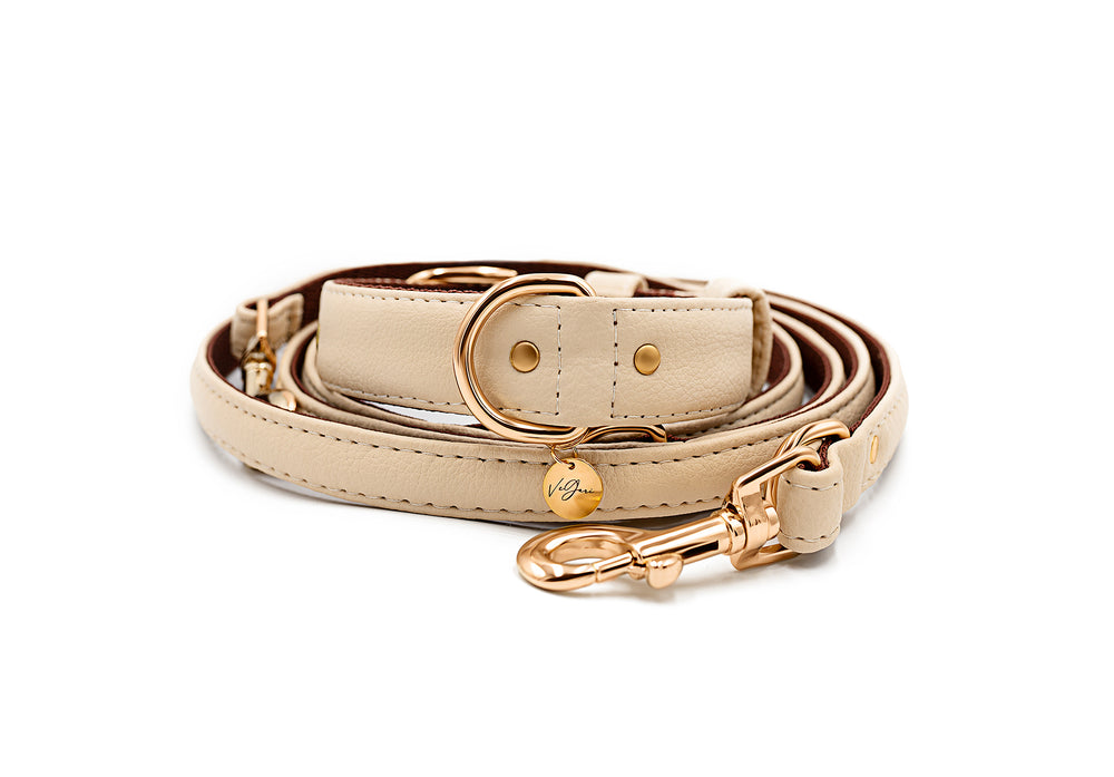 vegan dog collar made from pineapple leather pinatex in beige color with gold zinc alloy hardware