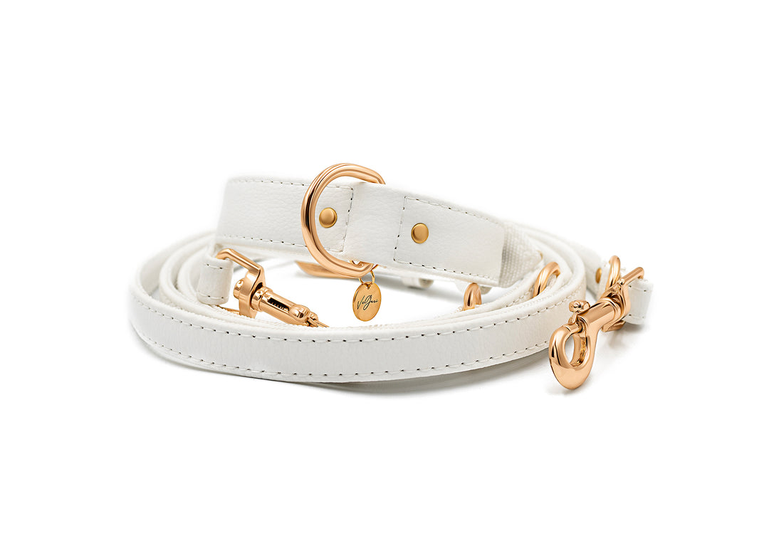 sustainable and vegan dog collar made from pineapple leather, hypoallergenic and durable dog collar in white color