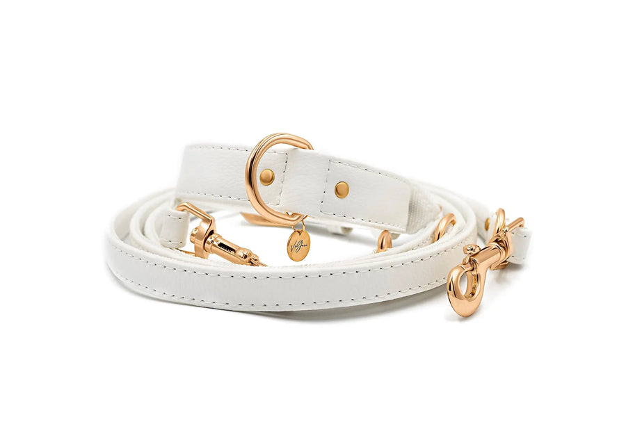 XS / WHITE / PINATEX VEGAN LEATHER Vegan Plant Leather Dog Collar -WHITE-| Made from Pineapple Leather Piñatex DOG COLLARS VEGARI