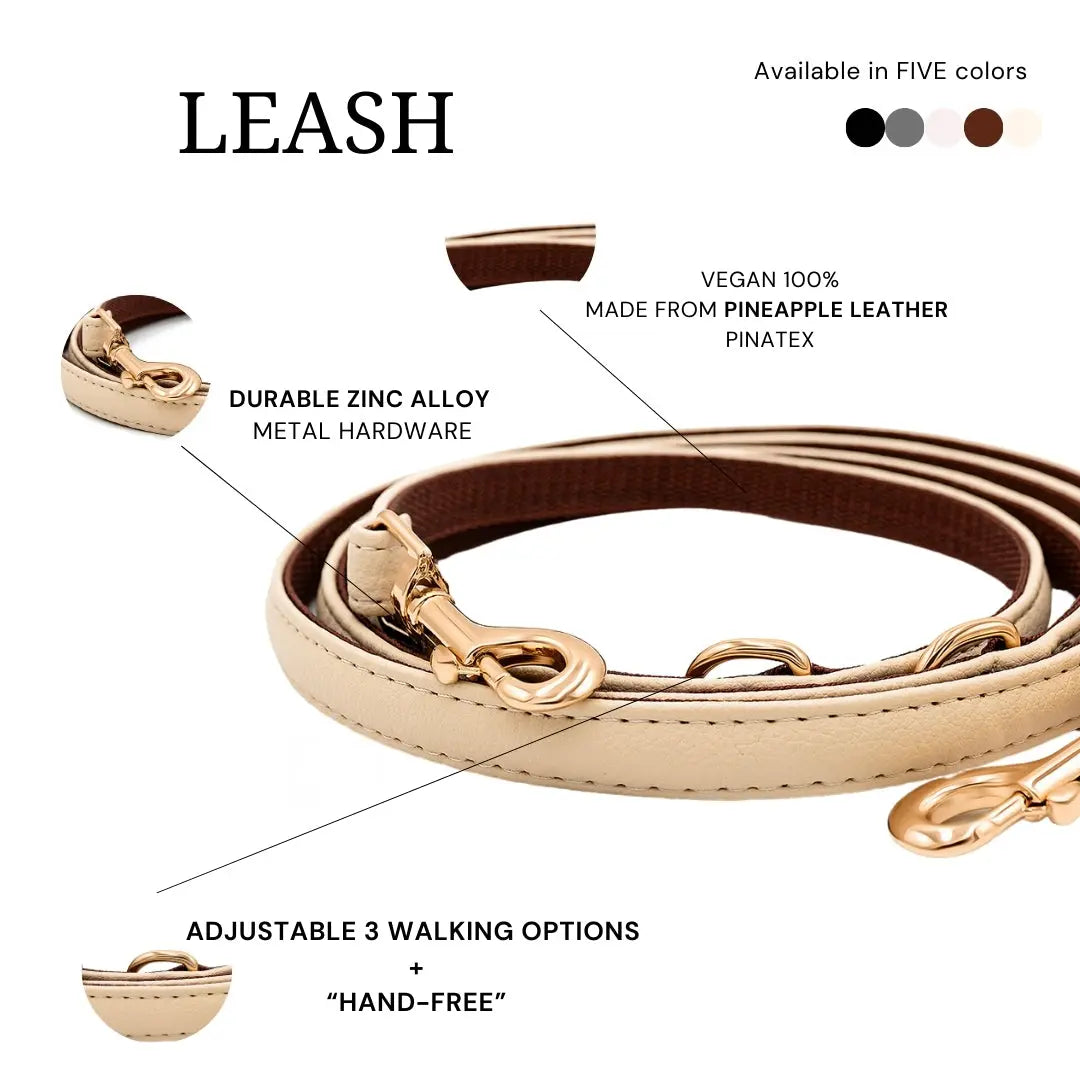 XS + LEASH / BEIGE / PINATEX VEGAN LEATHER SPECIAL DEAL: Dog Harness & Leash SET| BEIGE ROYAL HARNESS VEGARI