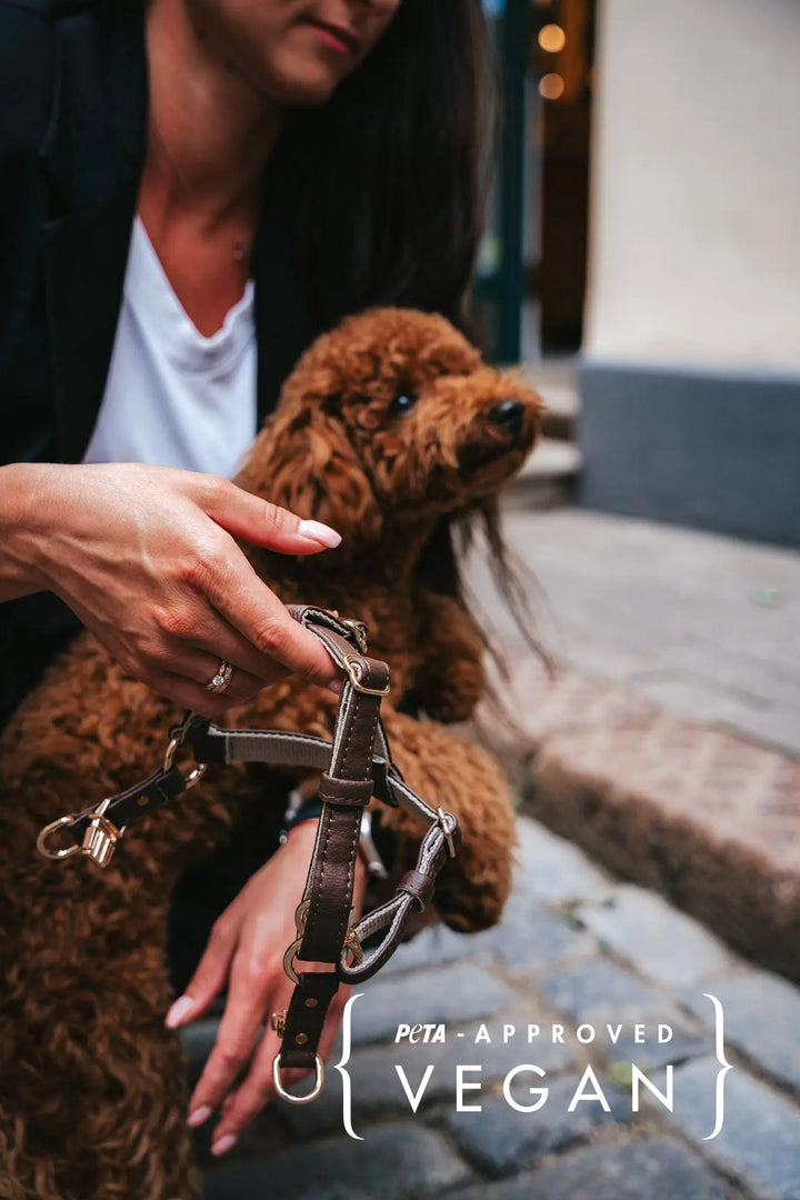 vegan leather brown dog harness for toy poodle