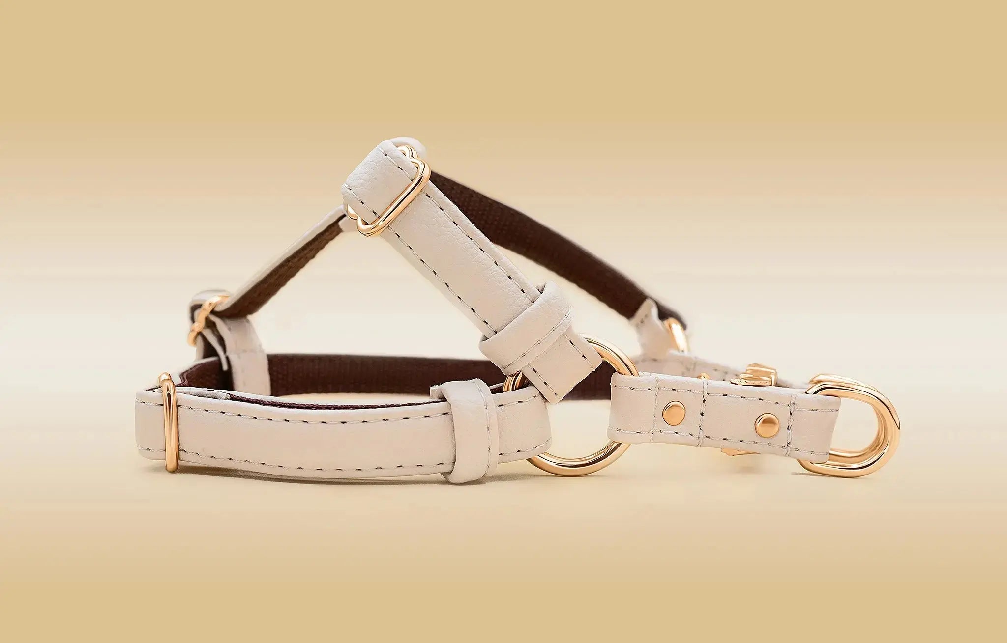 Eco-Friendly Vegan Dog Harness | Ergonomic Y/H Design – VEGARI
