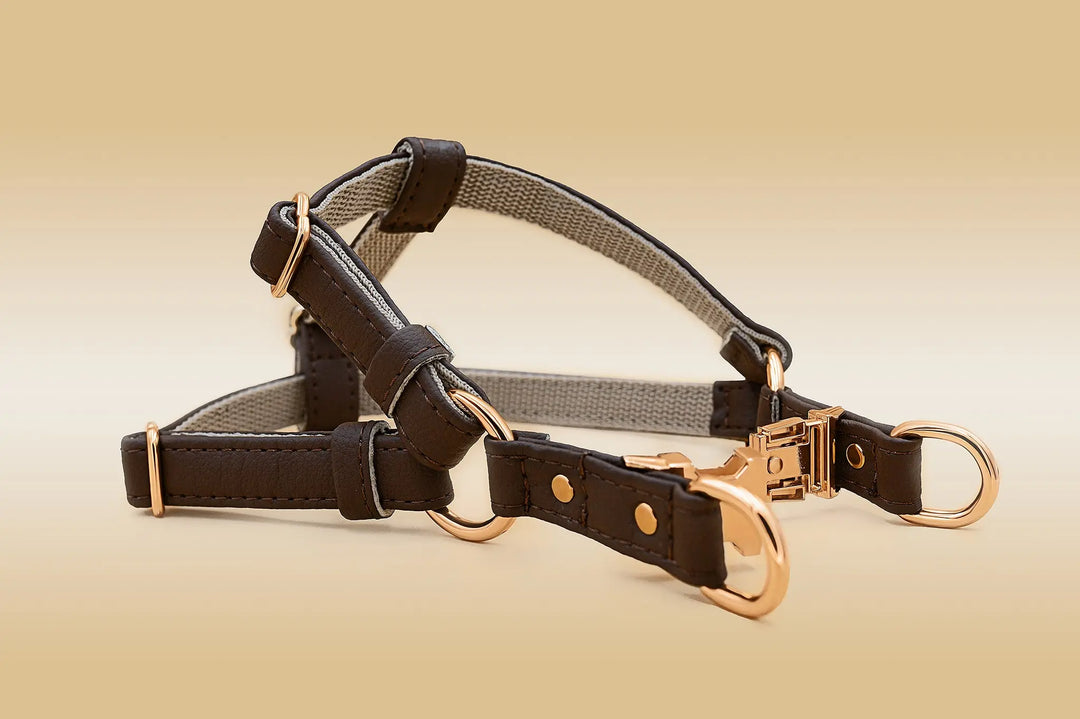 ERGONOMIC DOG HARNESS, MADE FOR SMALL TO LARGE BREED DOGS