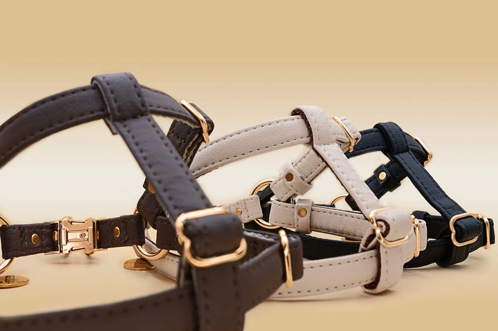 3 dog harnesses in different colors