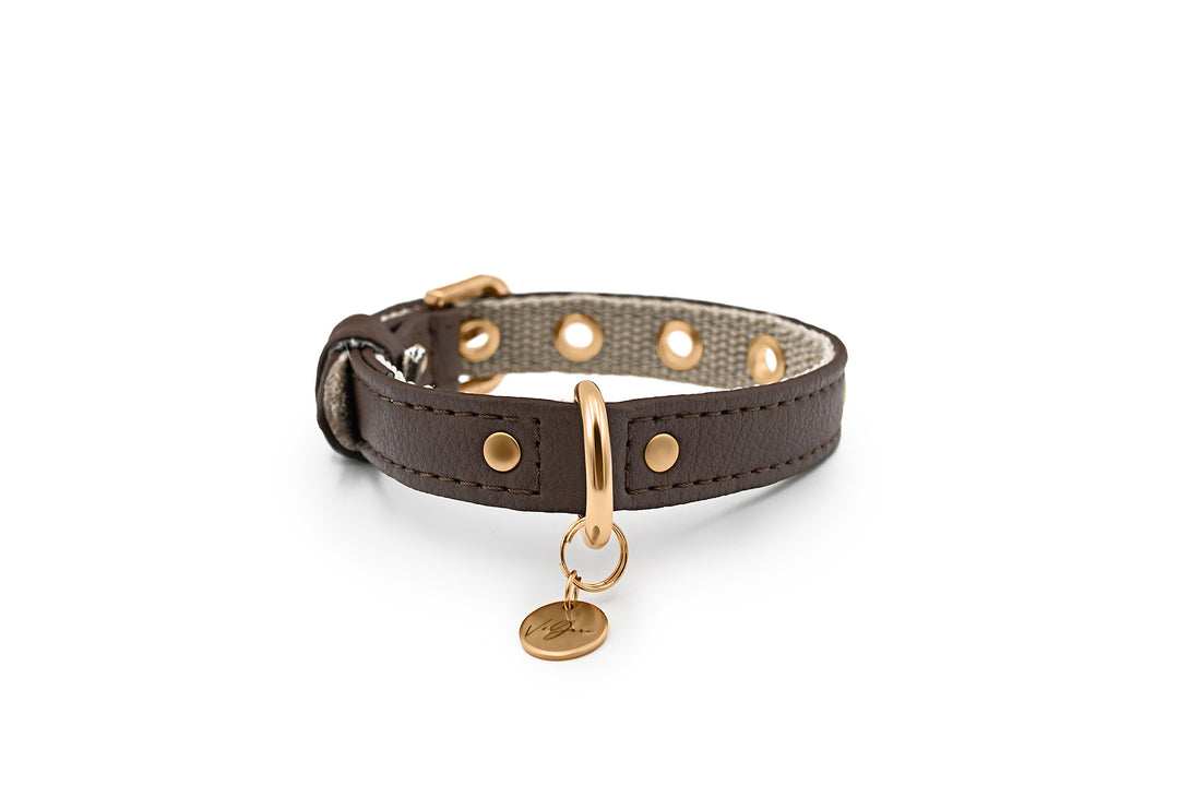 vegan leather pinatex dog collar, handmade premium dog accessory with gold zinc alloy metal hardware